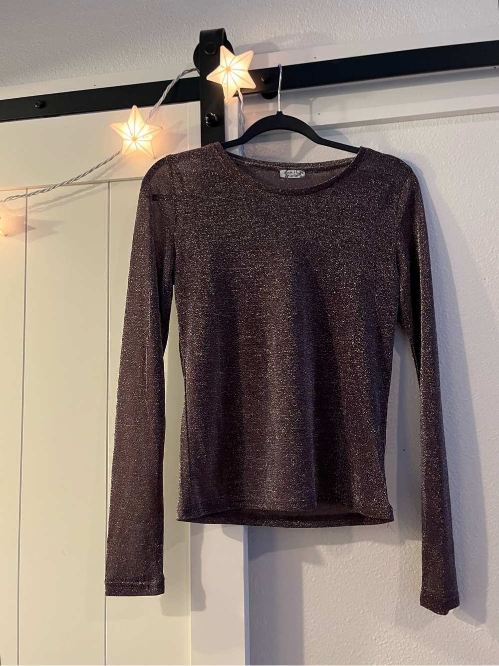Free People Metallic Long-Sleeve Crewneck (M)
